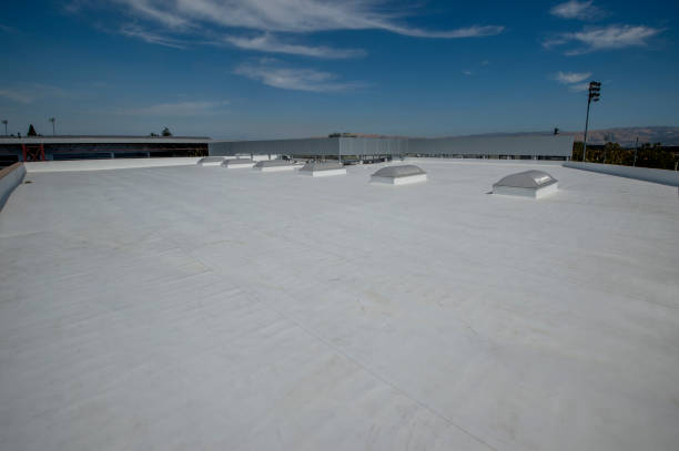 Best Asphalt Shingles Roofing  in Smyrna, DE