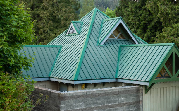 Best Roof Moss and Algae Removal  in Smyrna, DE