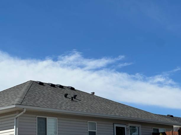 Best Solar Panel Roofing Installation  in Smyrna, DE